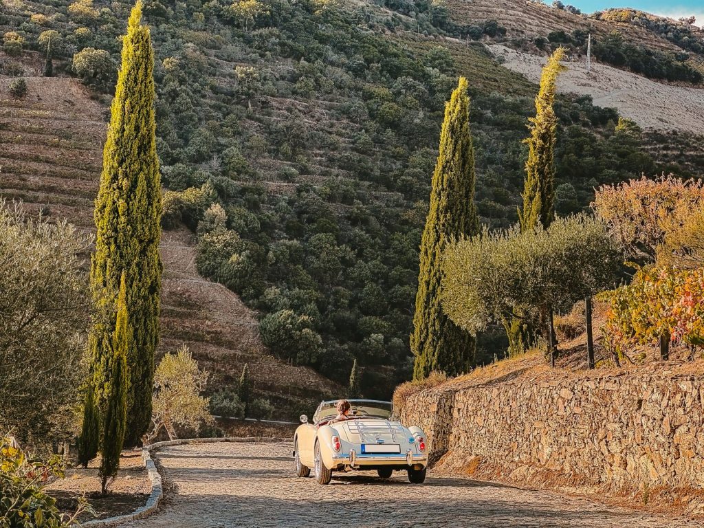 vintage-tours_025_Alto Douro, do╠êrfer, voyage, vignoble