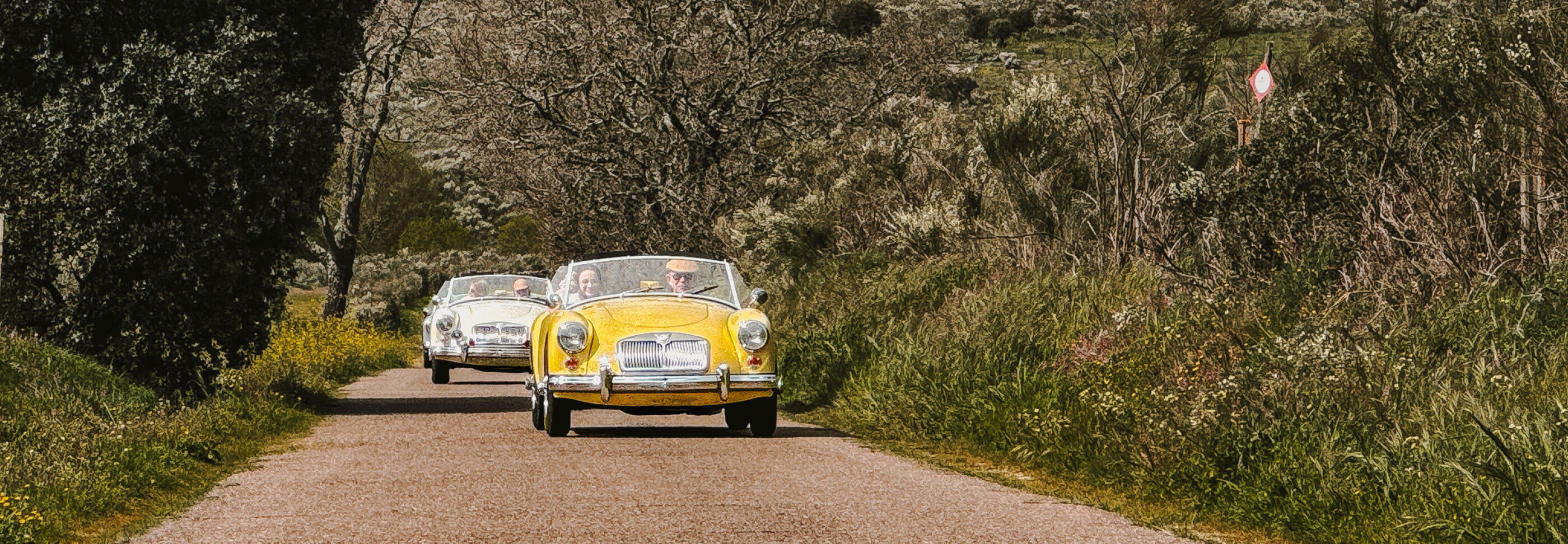MGA Roadster durante un esclusivo viaggio in auto d'epoca attraverso l'Alentejo in Portogallo, percorrendo le foreste di querce da sughero della regione