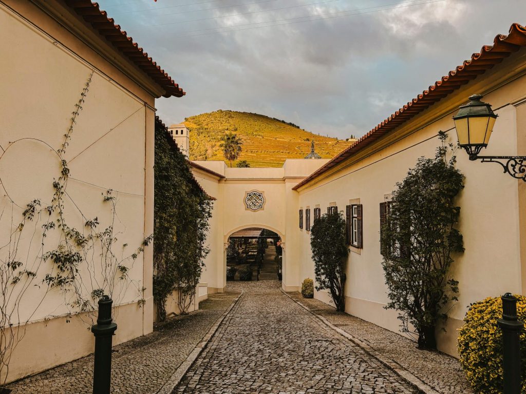 vintage-tours_Douro Tal_IMG_7087