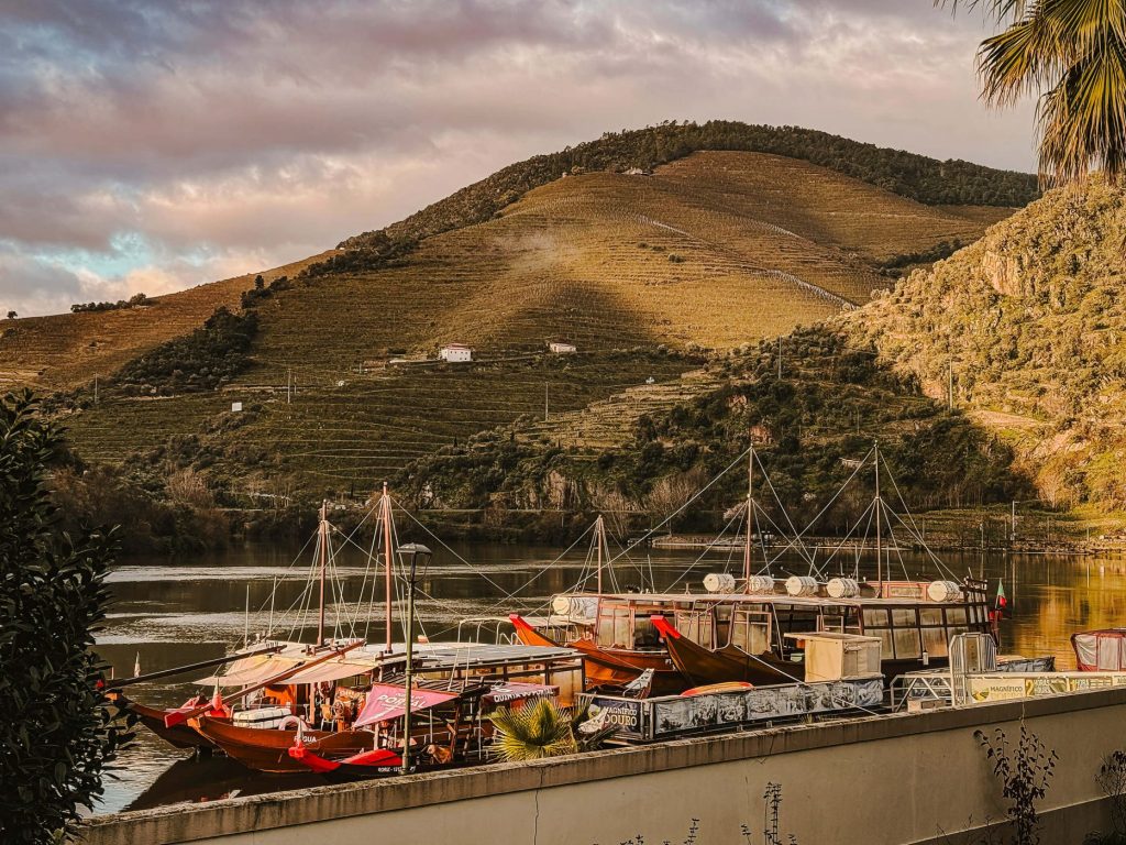 vintage-tours_Douro Tal_IMG_7089
