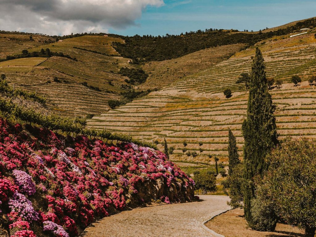 vintage-tours_QuintaNova3496_40