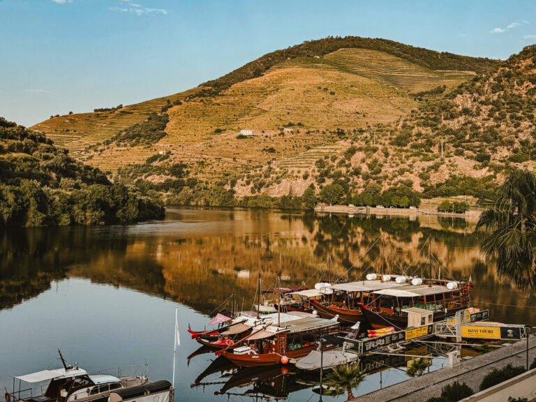 vintage-tours_4-3, Douro Tal_IMG_9515_071