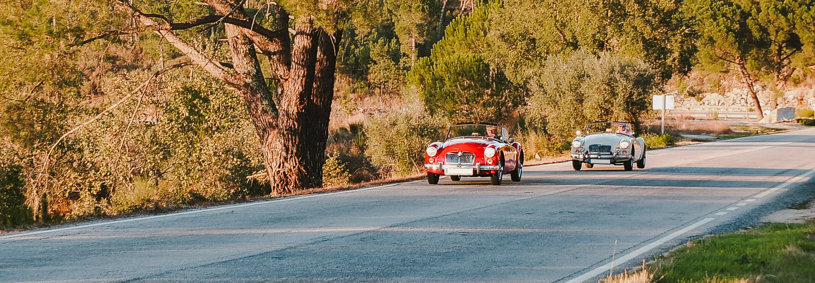 vintage-tours_Caramulo, Douro Tal_6834_quer